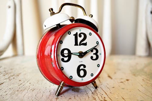 Hạt giống hoa mường giờ kép đủ 12 màu