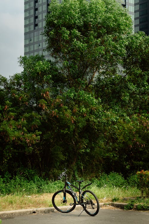 free photo of chi c xe d p d n d c gi a khu do th xanh mat