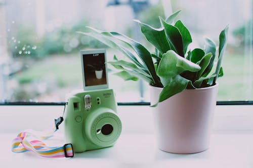 Đệm Lót Ghế Ngồi Êm Ái ohBaby Chống Ê Mỏi Nệm Ngồi Mềm Mại Cho Mẹ Bầu Học Sinh Và Dân Văn Phòng