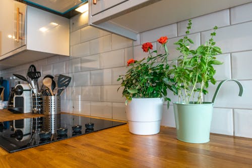 Kệ sách để sàn nhà kệ gỗ đựng đồ đa năng phong cách tối giản kích thước 120x60x20cm dán đủ cạnh bảo hành 3 tháng