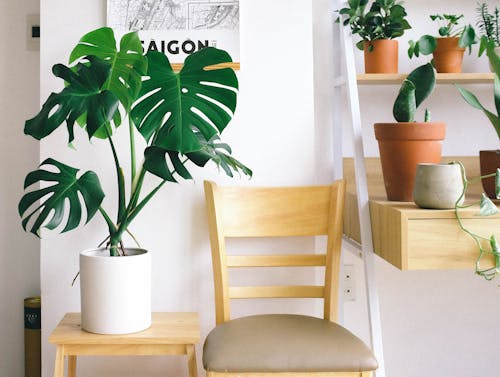 Giá đựng túi xách quần áo trong suốt HPS Kệ trưng bày vách ngăn tủ Acrylic