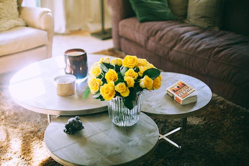 Ghế ăn sang trọng ghế cà phê ghế văn phòng chân sắt chắc chắn ghế trang điểm Xuất khẩu sang châu Âu