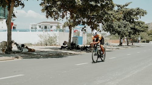 Tem nổi phật bà dán xe màu vàng siêu đẹp cao 10 cm màu vàng